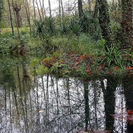 Quinta De Linhares דירה